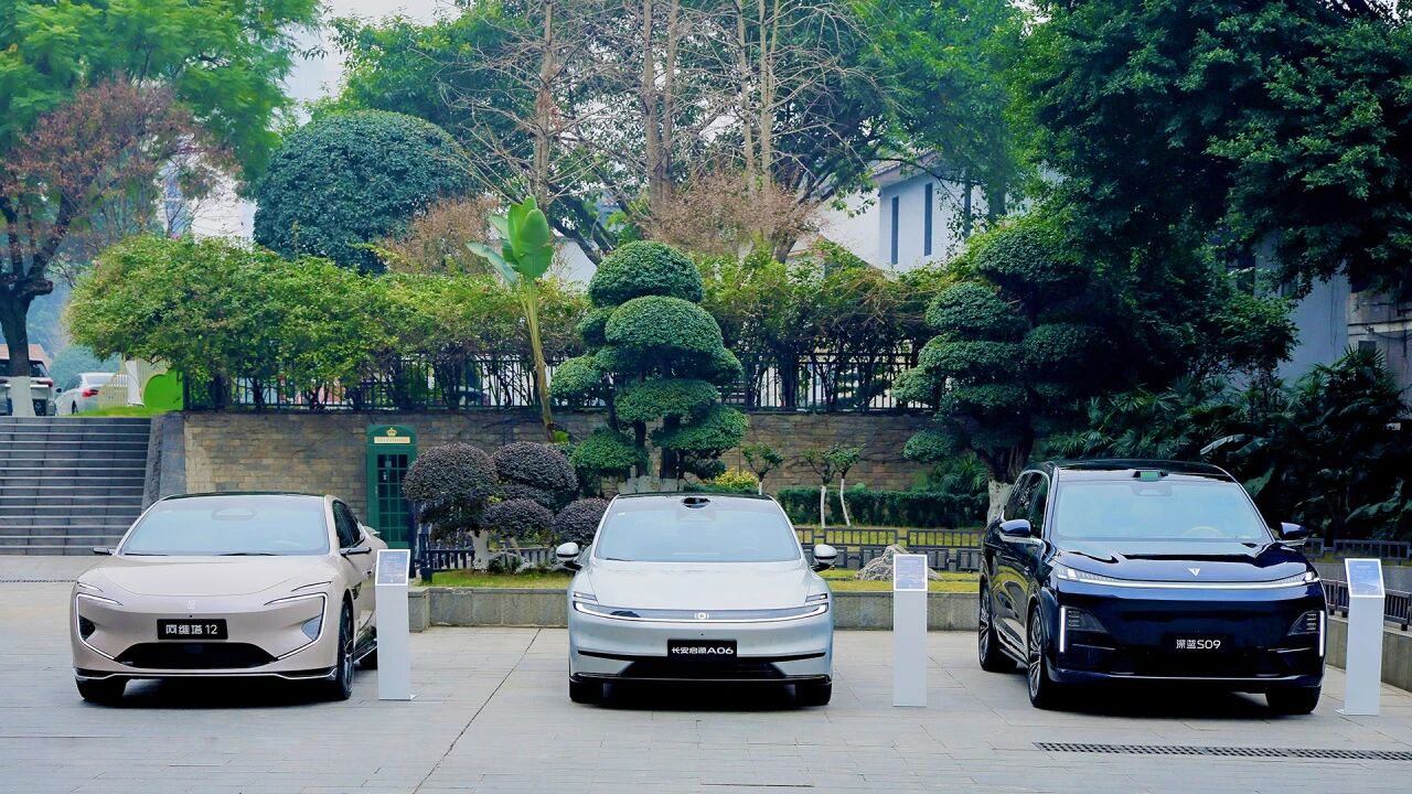 IMG_3123.JPG IMG_3123.JPG